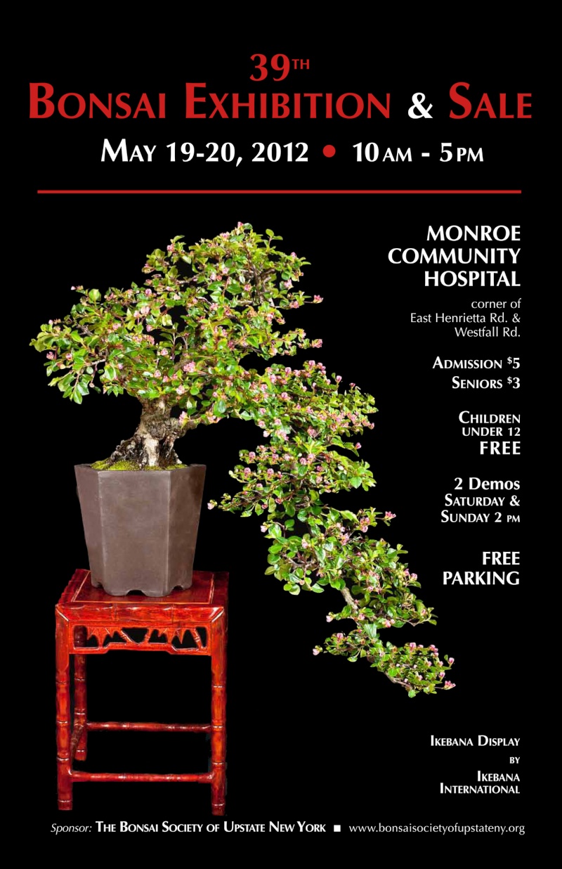 The Bonsai Society of Upstate NY 39th Exhibition 2012sh14