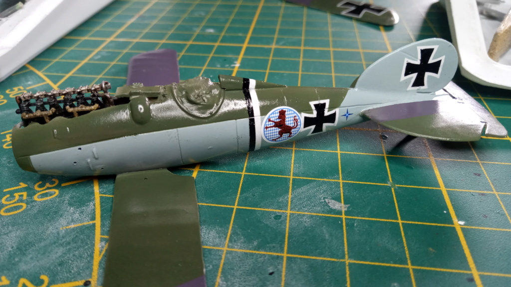 [Encore Models-Roden] 1/72 - Albatros D.V - Ritter von Schleich (aldv) Img_2047