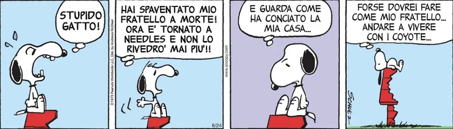 SEMPLICEMENTE PEANUTS! - Pagina 18 Peanu384