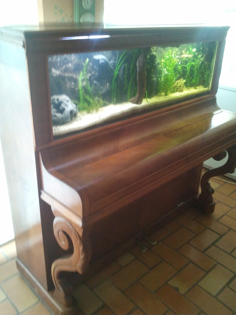 un aquarium dans un piano - Page 3 2012-055