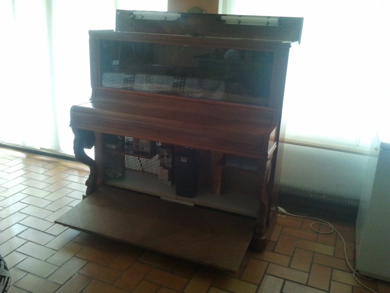 un aquarium dans un piano - Page 3 2012-059