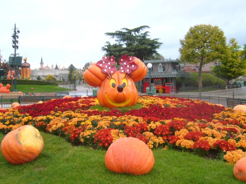 mon séjour du 4 et 5 octobre pour mon premier Halloween DISNEY. - Page 14 P1010654