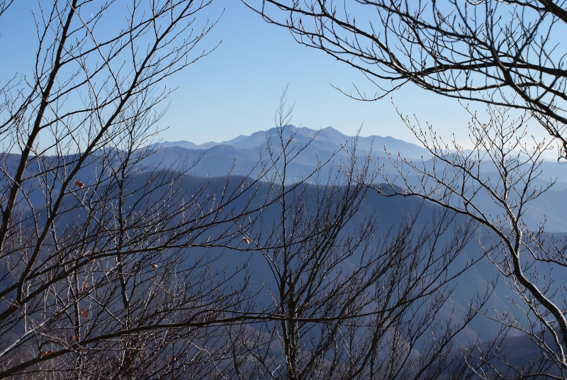 Montagne e boschi dell'Orecchiella Orecch13