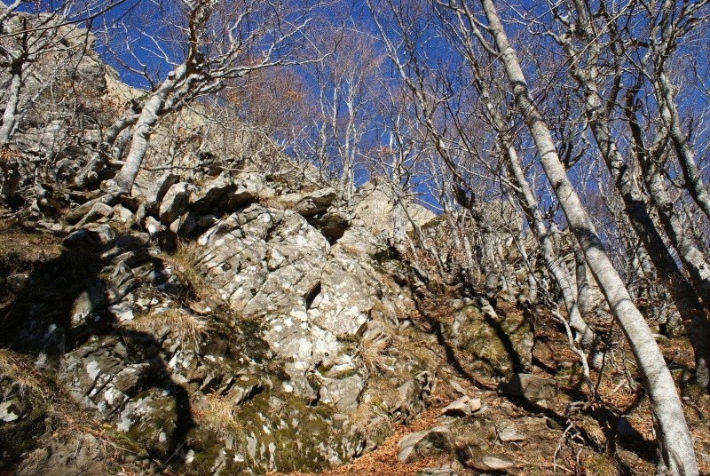 Montagne e boschi dell'Orecchiella Orecch39