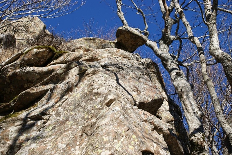 Montagne e boschi dell'Orecchiella Orecch43