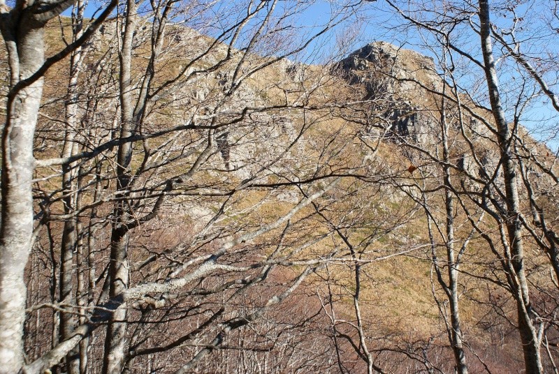 Montagne e boschi dell'Orecchiella Orecch45