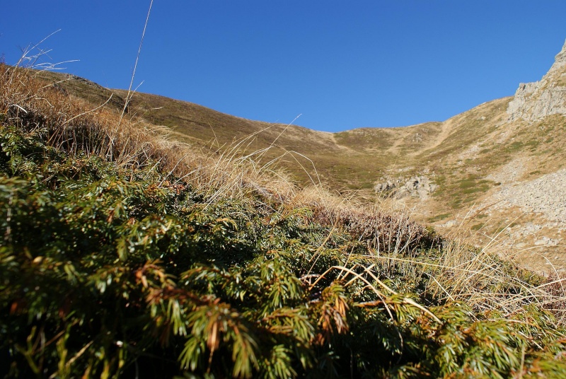 Montagne e boschi dell'Orecchiella Orecch52