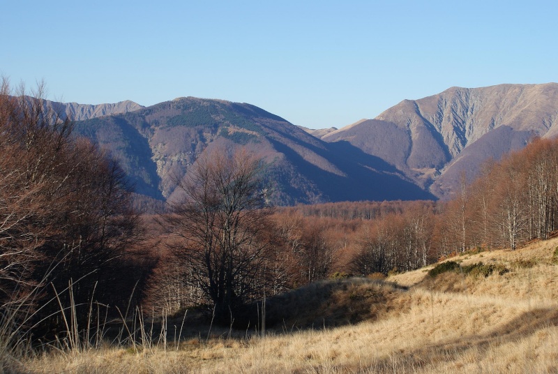 Montagne e boschi dell'Orecchiella Orecch57