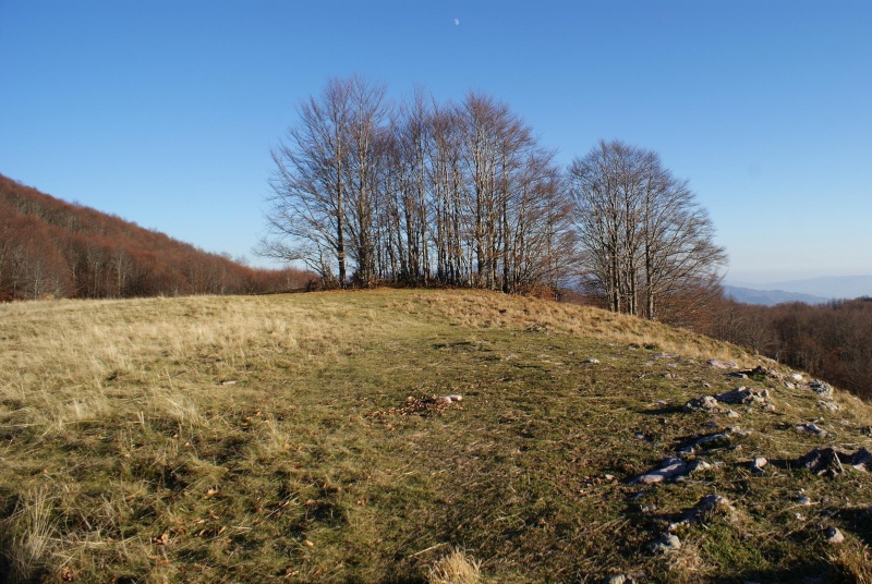 Montagne e boschi dell'Orecchiella Orecch60