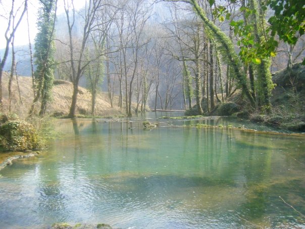 Vos plus belles rencontres avec la nature Beaum10