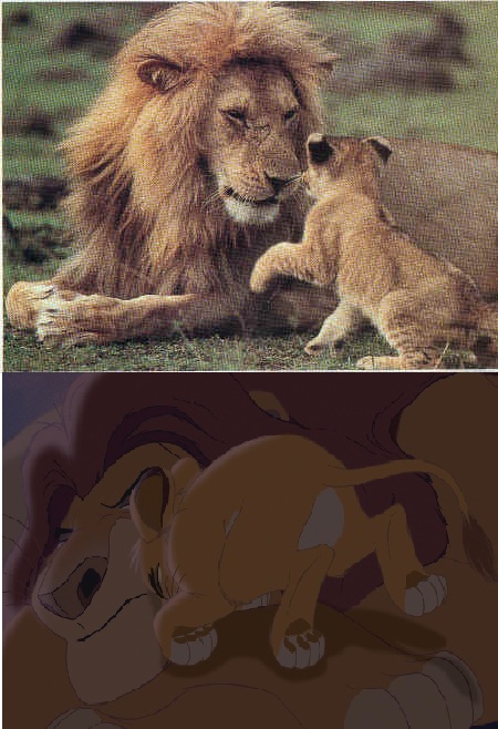 Le roi lion pour de vrai ?  Papapa10