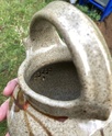 Mystery teapot with face, Australian?  835eeb10