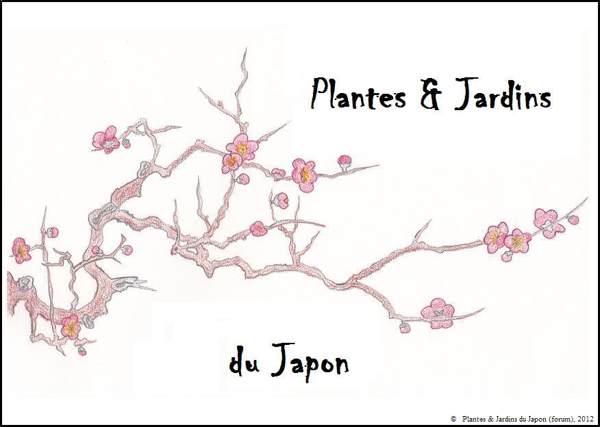 Plantes et Jardins du Japon