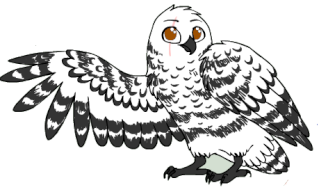 Die "große Ga'Hoole- RPG"- planung!   Owl11