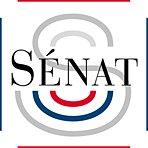 Pass sanitaire : le Sénat adopte le projet de loi Logo_s10