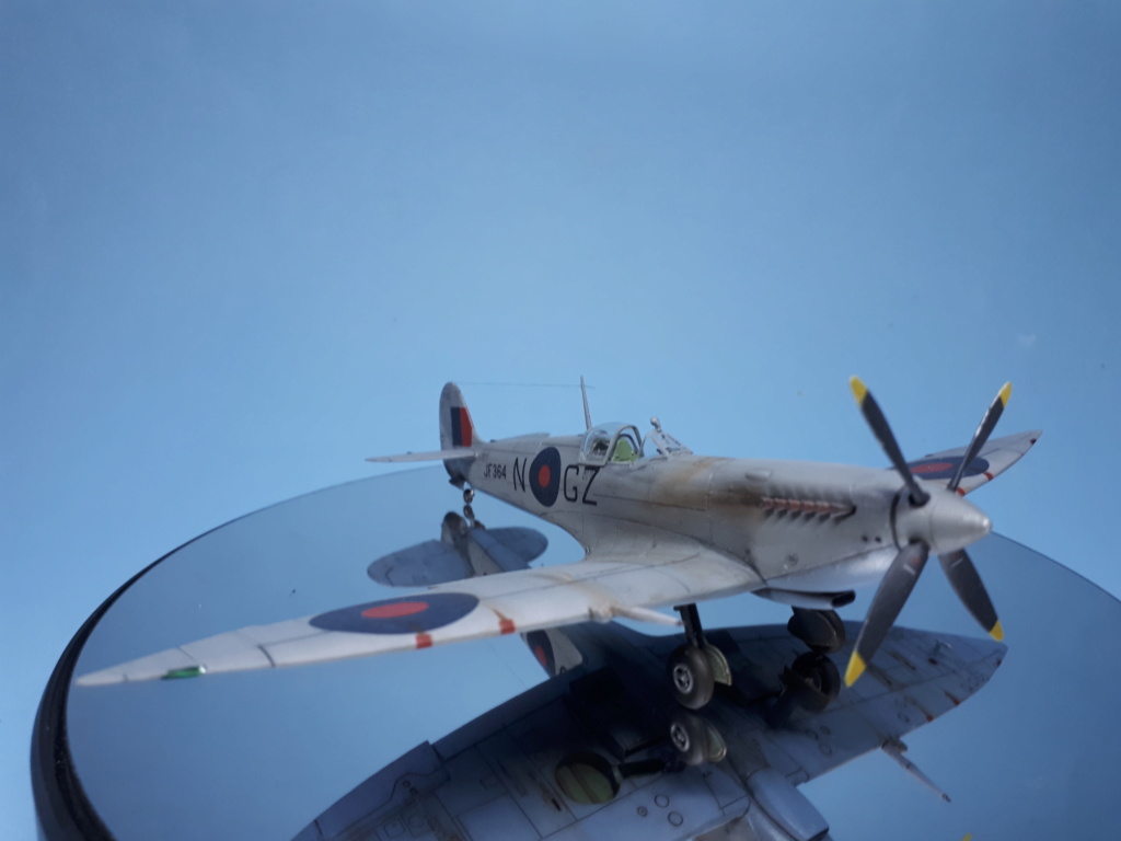 Spitfire Mk VIII JF 364 32 Squadron , Foggia, Italie,  début 1944 [Eduard] [1/72] 20211059