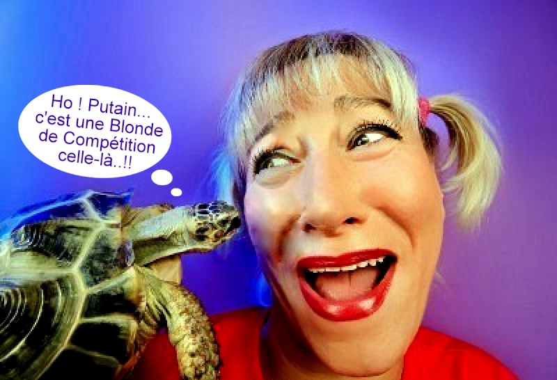 Rions un peu avec Dame Tortue !  - Page 2 Tortue25