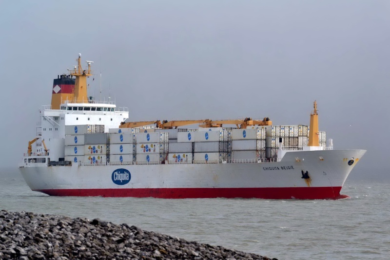 Nav March Bel-Lux alpha Ord Chiqui11