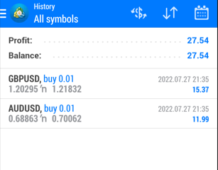 ONE MICRO LOT SIZE FOREX TRADING 234510