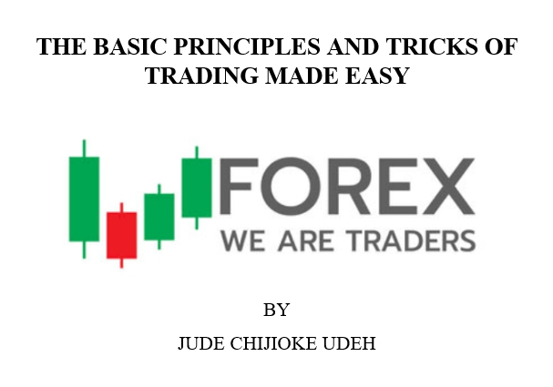 THE BASIC PRINCIPLES AND TRICKS OF TRADING MADE EASY  Trader12