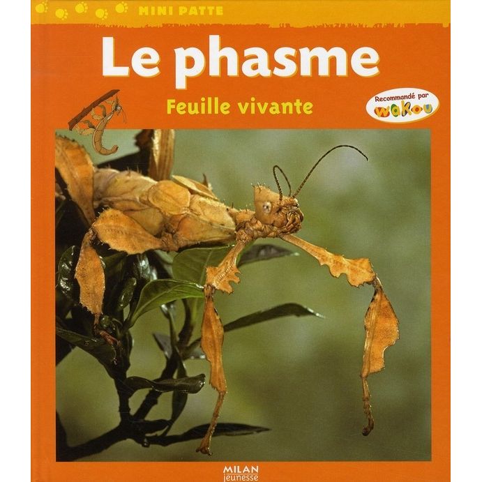 phasmes - Un livre sur les phasmes Le-pha10