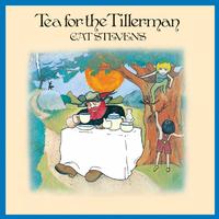 Cat Stevens-Tea For Tillerman LP Aapp_910