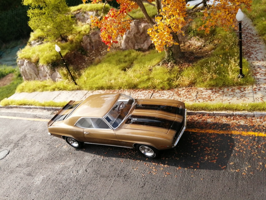 1969 Camaro Z28 546