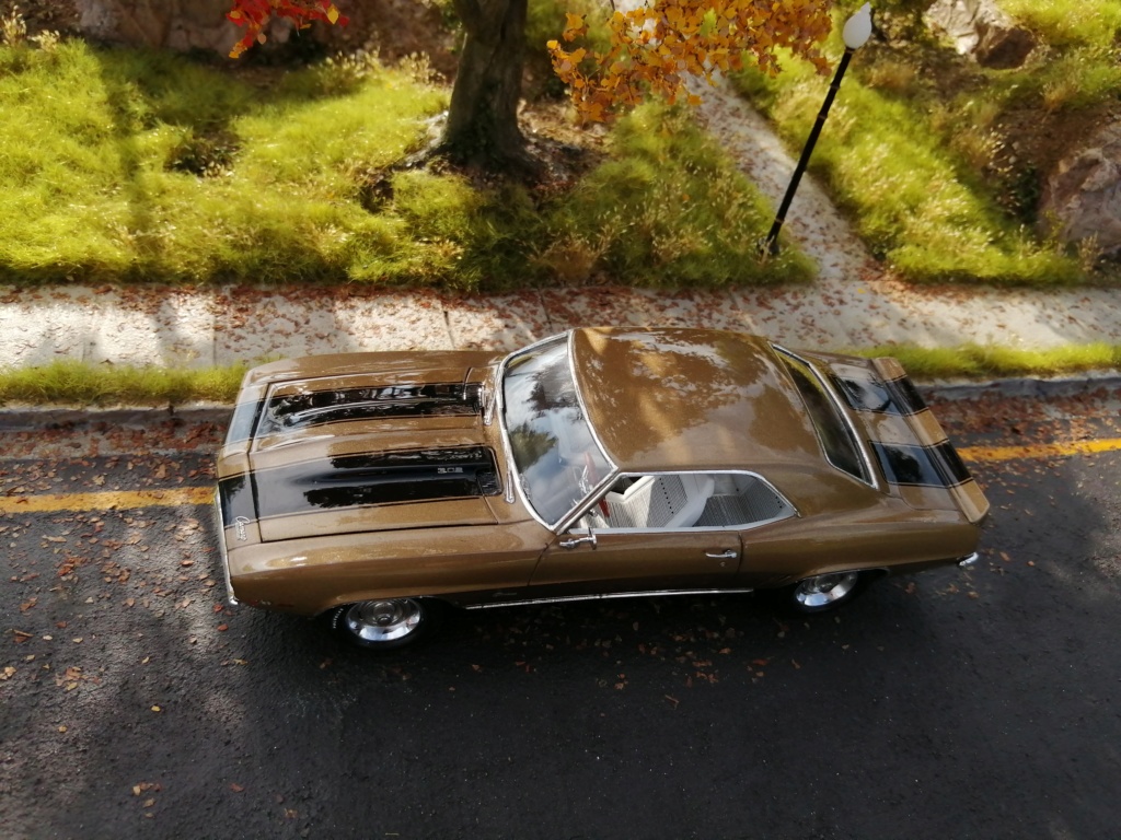 1969 Camaro Z28 748