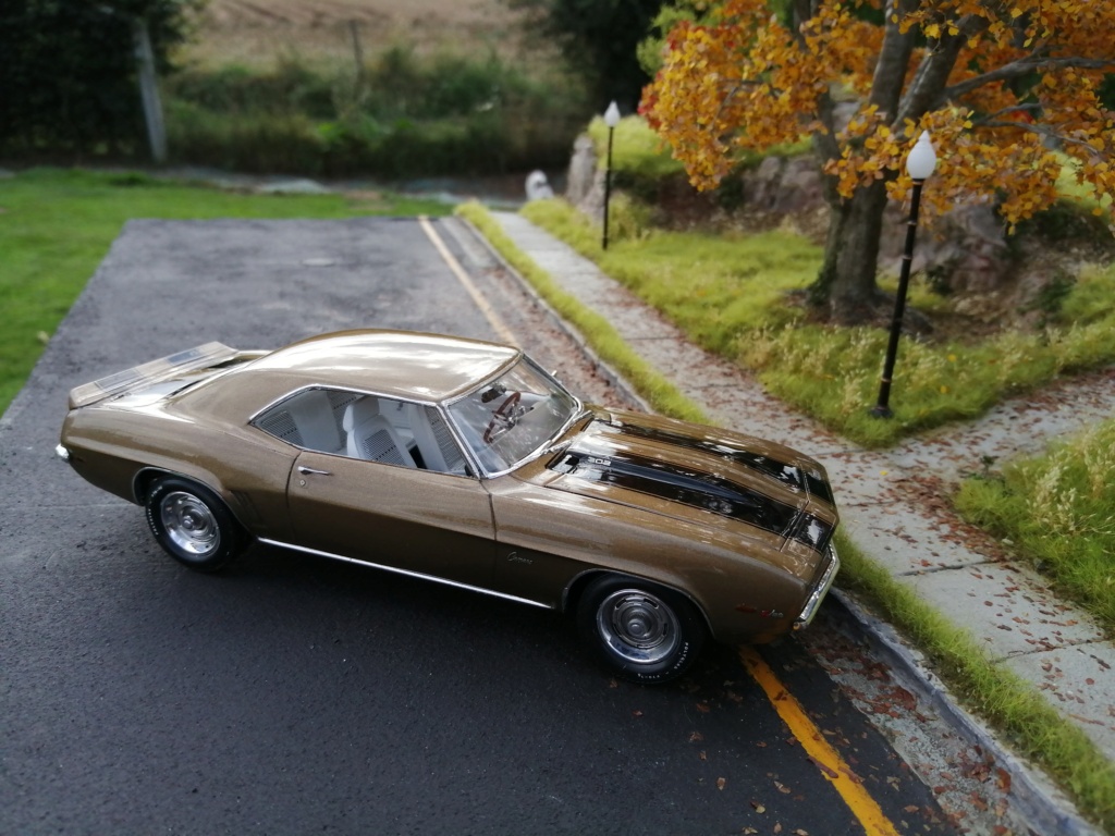 1969 Camaro Z28 8a11