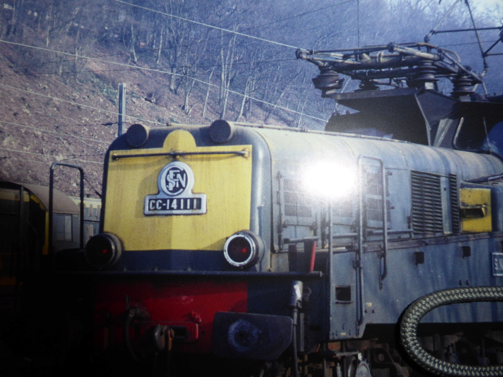 [Arnold] Locomotive électrique - CC14000/CC14100 - Page 10 P1040312