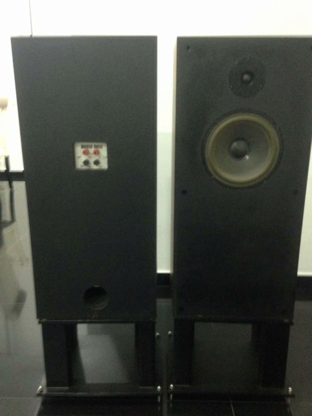 Audio Note Speakers AN-E/ SPX Img-2045