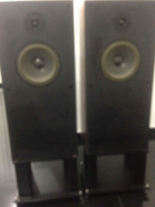 Audio Note Speakers AN-E/ SPX Img-2050