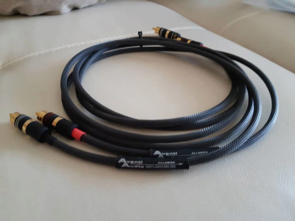 Avanti Allergo Interconnects & Digital Cable Img-2064