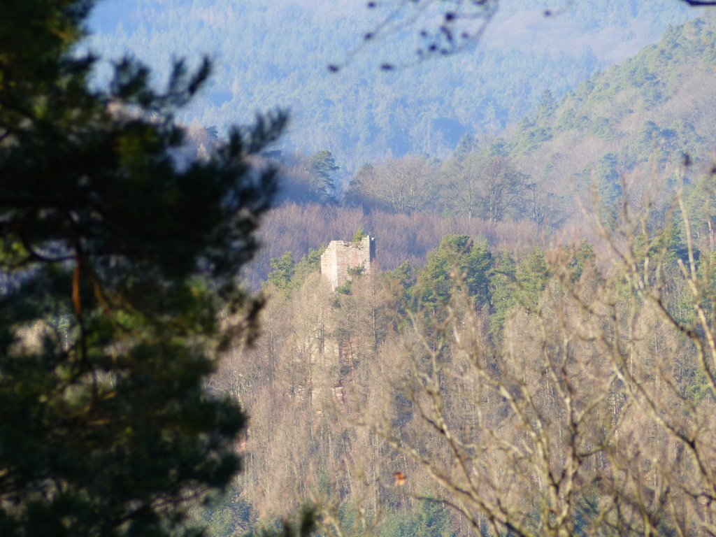 Sortie au petit Gruenberg. Wineck11