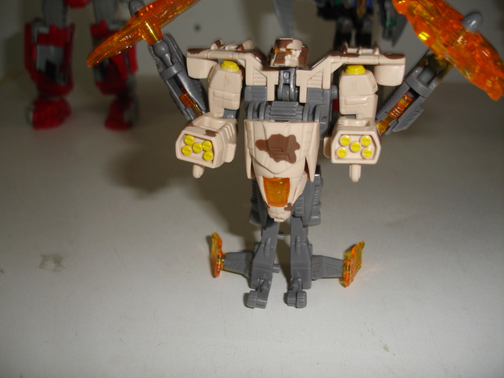 collection de megatron84 - Page 14 Dsc01524
