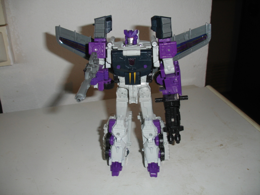 collection de megatron84 - Page 14 Dsc01537