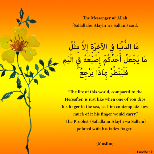 Hadith Graphics - Page 9 048b10