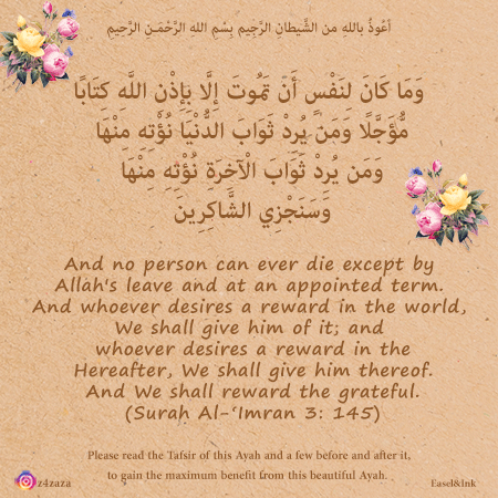 Ayah Graphics - Page 8 S3a14511