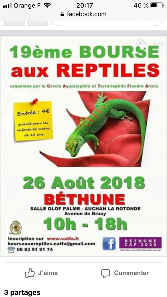 Bourse aux reptiles Bethune 26 août 2018 F8d28b10