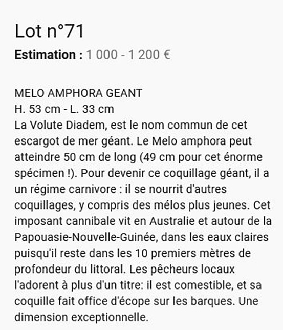 Vente d'un Melo Melo211