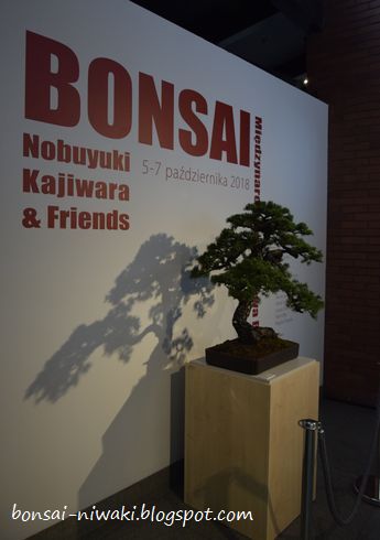 International Bonsai Exhibition - Nobuyuki Kajiwara & Friends (Poland,2018) _dsc0011