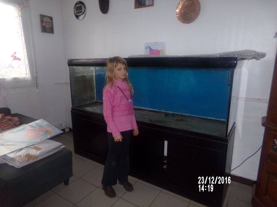 Mon Aquarium 21105912