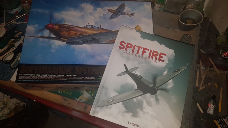 Supermarine Spitfire Mk.VIII 20200133