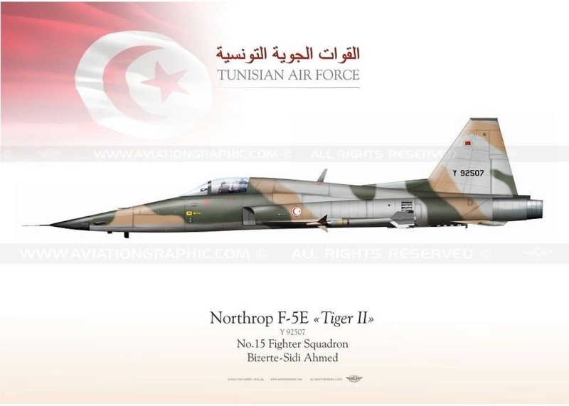 F-5E TigerII KH 1/32 B28f3c10