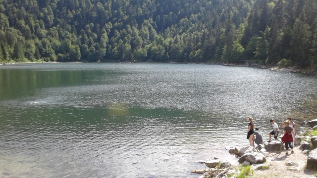 Le lac des corbeaux (la Bresse dans les Vosges) 20180653