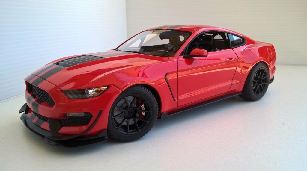 Nouvelle Mustang GT4...ou pas! Wp_20454