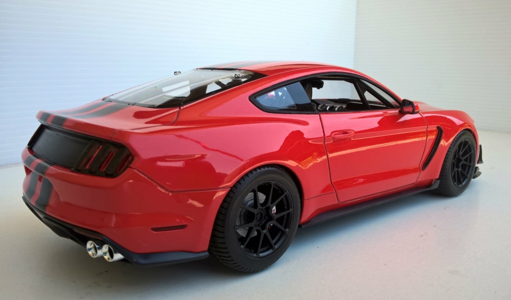 Nouvelle Mustang GT4...ou pas! Wp_20457