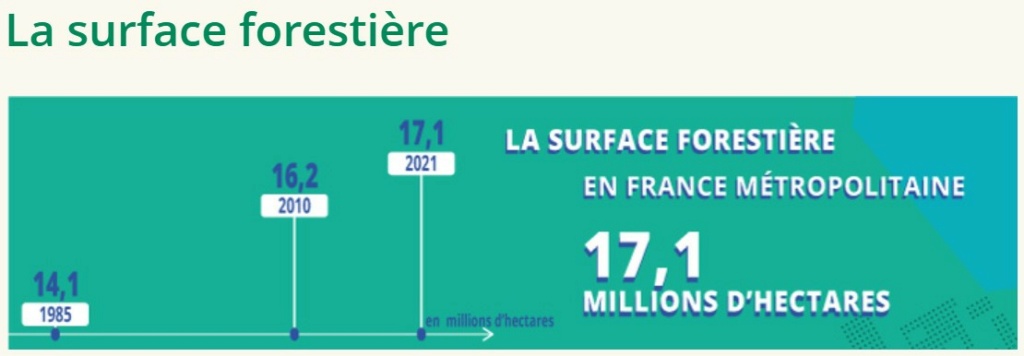 la déforestation française 00005402