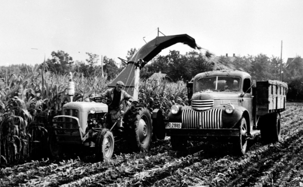 Vidéo sur l'ensilage au début des années 50 0_0_0_54