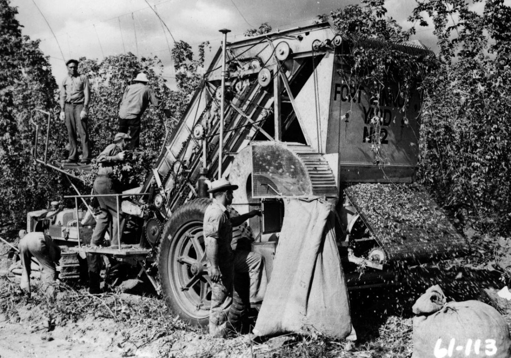 LINDEMAN Histoire d'une Marque 0_0_830